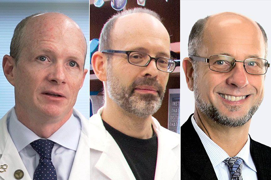 Washington University professors Bateman, Diamond, Hultgren